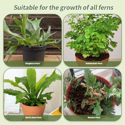 Doter Potting Soil Mix for Fern 4qt, Custom Hand Blended Mixture Suitable for Indoor/Outdoor Potted Fern Plant - size: 4qt