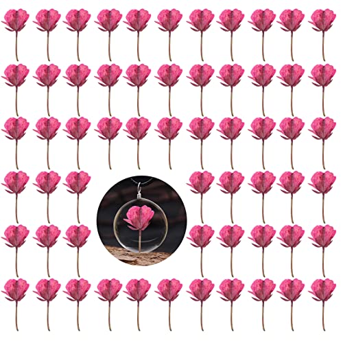 60PCS Pink Dried Rapeseed Flowers for Resin, Real Natural Pressed Flowers, Dry Flowers for Resin Jewellery DIY Ornament Crafts Card Candle Making - color: Rapeseed Flowers-pink