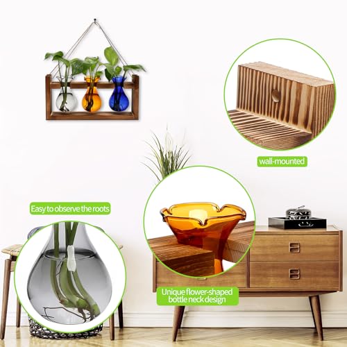 Plant Propagation Station Plant Terrarium Unique Birthday Gifts for Women - color: Color03