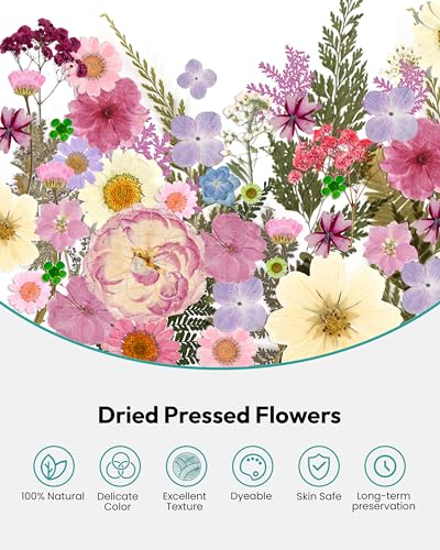 Dried Flowers, Resiners 100Pcs Pressed Flowers for Craft Baby Pink Real Natural Dried Flowers Dry Leaves Kit for DIY Making Crafts Resin Soap Candle Scrapbook Supplies Card Making Jewelry - color: Light Pink 100pcs