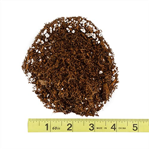 Soil Sunrise Coco Peat Perlite Potting Mix (12 Quarts) Loose Coconut Coir and Perlite - size: 12 Quarts