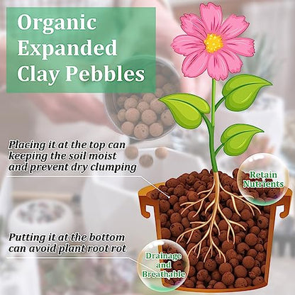 Riare 6LB Organic Leca Clay Pebbles for Plants, 4-16mm Drainage Leca Balls | Reusable, Aeration Lightweight Clay Balls, Moisture Retention for Hydroponics, Orchids, Succulents, Terrariums, Propagation - size: 6LB