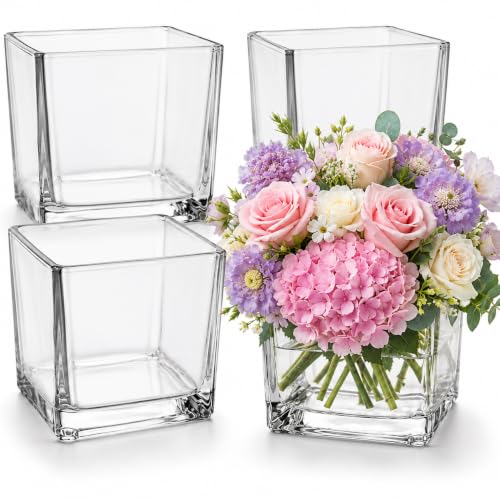 4 Pack 6 x 6 x 6 Inch Square Glass Vases, Clear Square Vases for Centerpieces, Glass Cube Flower Vases Short Vases for Candle Holder Events Wedding Party Home Decoration