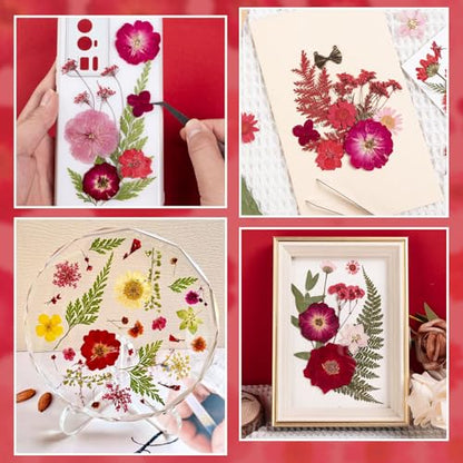 101 PCS Red Dried Pressed Flowers for Christmas Crafts Resin, Red Real Nature Flowers Bulk for DIY Holiday Cake Card Scrapbook Supplies, Large Dried Flowers for Soap Candle Making - size: Red 101pcs