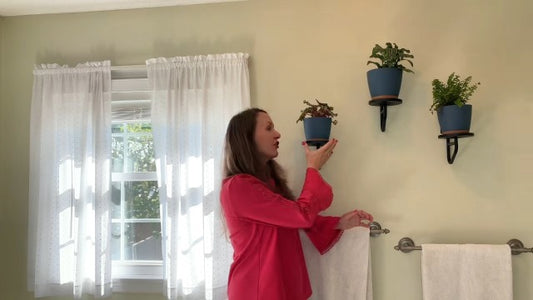 Wall Plant Holder - 3 Pack Metal Window Hanging Plant Stand Shelves