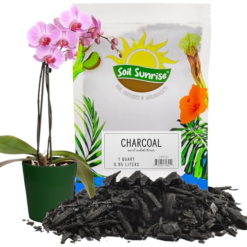 Soil Sunrise Horticultural Charcoal for Indoor Plants (1 Quart) Hardwood Soil Additive for Orchids, Terrariums, and Gardening - size: 1 Quart