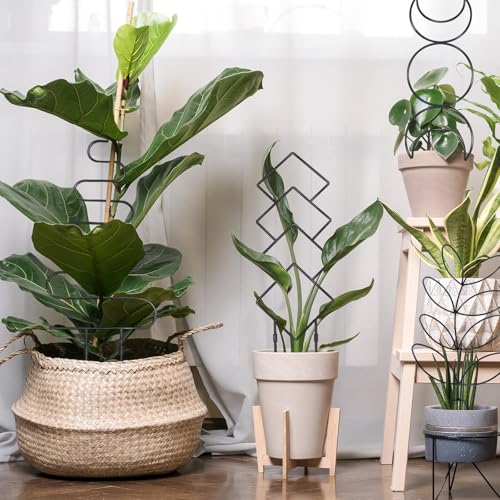23in Plant Trellis for Climbing Plants Indoor, 4 Shapes | Trellis for Potted Plants with Ties, Metal Climbing Plant Support for Houseplant Flower Pothos, 4 Different Panels