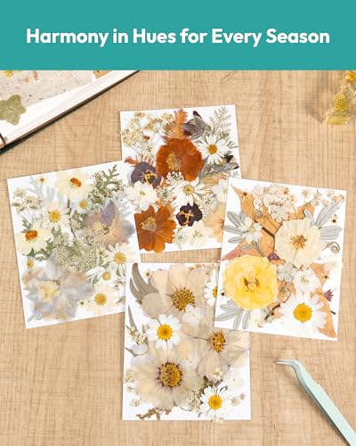 Dried Flowers, Resiners 100Pcs Pressed Flowers for Craft Real Natural Dried Flowers Dry Leaves Kit for DIY Making Crafts Resin Soap Candle Scrapbook Supplies Jewelry Making - color: Warm Color 100pcs