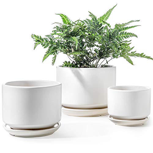 LE TAUCI Ceramic Pots for Plants, 4.3+5.3+6.8 Inch Plant Pots, Indoor Planters with Drainage Hole and Saucer for Succulents, Herbs and Flowers, Set of 3, Satin, White - color: White