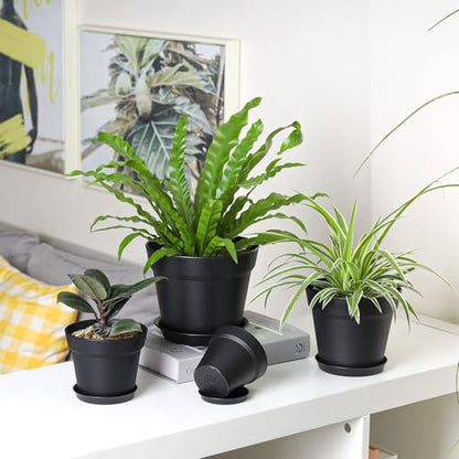 T4U 7.5 Inch Plant Pots 6 Pcs, Flower Pots for Indoor Plants Plastic Pots for Plants with Drainage Holes and Saucer, Planters for Indoor Plants for House Cactus Succulent Black | Indoor houseplant use, Peace lily orchid and herbs, Drainage design, Lightwe