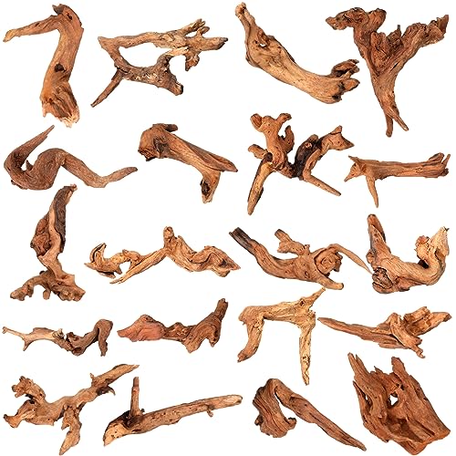 Suzile 20 Pcs Driftwood for Aquarium Fishtank Reptile Tank Craft Terrarium