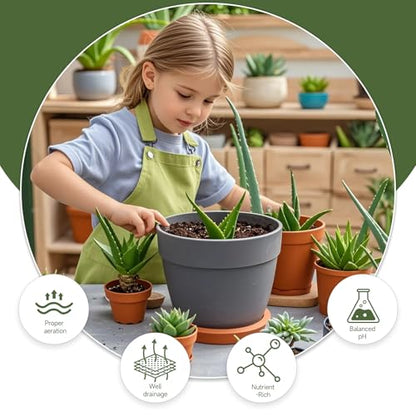 Doter Aloe Vera Potting Soil Mix 10qt, Ready to Use for Seedling and Growing of Aloe Vera Plants or Other Houseplants - size: 10qt