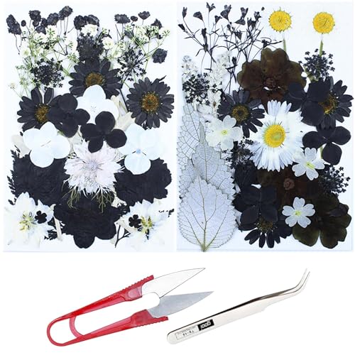 Cayway 2 Pack Dried Pressed Flowers for Resin Molds, Black Real Pressed Flowers Dry Leaves Kit Natural Dried Pressed Leaves for Art Crafts Resin Scrapbook Supplies Soap Candle DIY, Style B - color: Black White Style B