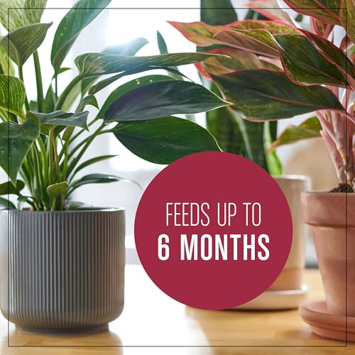 Miracle-Gro Houseplant Potting Mix, 4 qt. - size: 1 Pack, style: Houseplant
