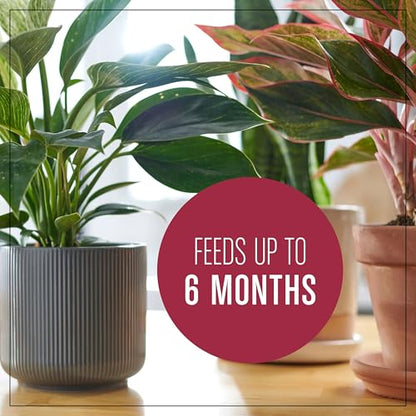 Miracle-Gro Houseplant Potting Mix, 4 qt. - size: 1 Pack, style: Houseplant