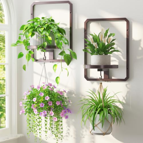 LASZOLA Plant Picture Frame Holder Shelf Wall Window Indoor, 2 Pcs Brown - color: Brown, size: 2