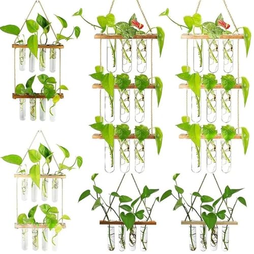 Planter Terrarium,Test Tube Vase Glass Planter Plant Propagation Station Plant Hangers of Rope with Stand for Hydroponic Plant Cutting(-2-Tier)
