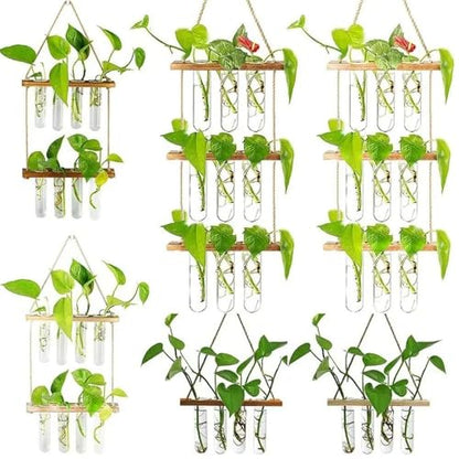 Planter Terrarium,Test Tube Vase Glass Planter Plant Propagation Station Plant Hangers of Rope with Stand for Hydroponic Plant Cutting(-2-Tier)