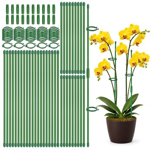 40 Pcs Plant Support Stakes, Garden Stakes for Indoor Plants - size: 20pcs 12inch+20pcs 16inch