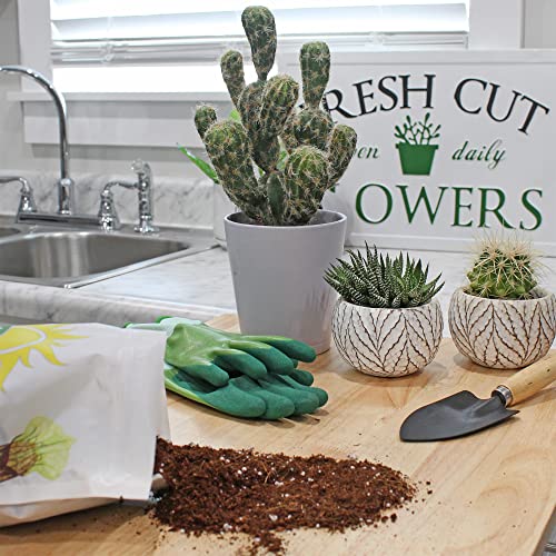 Soil Sunrise Coco Peat Perlite Potting Mix (4 Quarts) Loose Coconut Coir and Perlite - size: 4 Quarts