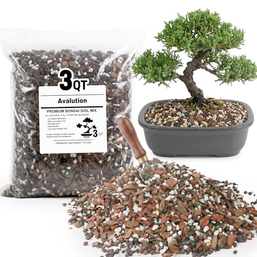 Avalution Bonsai Soil 3QT,Organic Bonsai Soil Mix - color: Bonsai Soil, size: 3QT