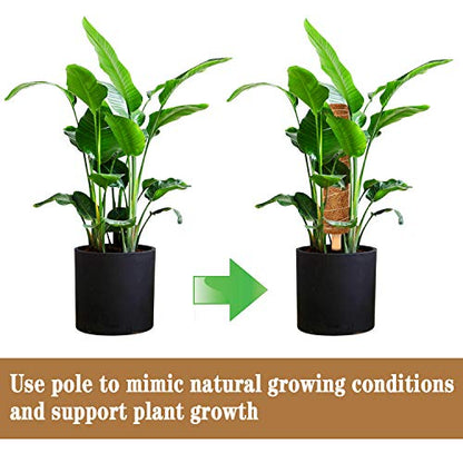 Coir Totem Pole for Climbing Plants, 2 Pcs 12'' Coir Moss Totem Stick | with 4 Pcs Adjustable Plant Ties, For Creepers Plant Support Extension, Climbing Plants Support Indoor ﻿