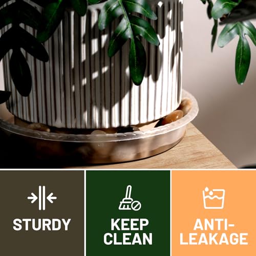 MUDEELA 6-Pack Plastic Plant Saucers Tray for Indoor, 10 Inches, Clear | Durable, Thicker, Stronger, Deeper, Round Plant Dish Pant Plate to Catch Water for Flower and Plant Pot - size: 10" - 6 Pack