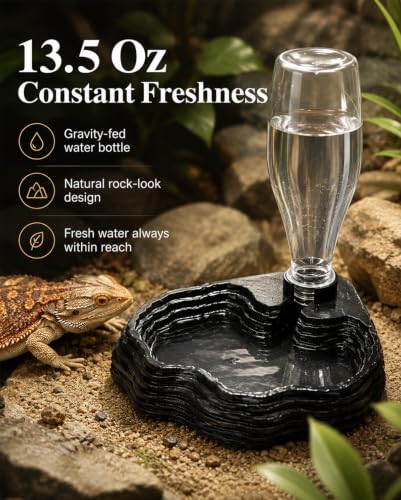 4 Piece Bearded Dragon Water Bowl Set, Food Bowl 13.5Oz | 6.3in Stainless Steel Tongs and Nail Clippers Feeding Grooming Kit Bearded Dragon Tank Accessories for Gecko Turtle Terrarium