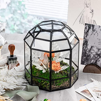 NCYP Geometric Glass Terrarium Dome for Succulent Cacti Air Plants, 6.6x6.6x8 Inches Closed Birdcage Planter Pot, Indoor Miniature Fairy Garden Display Container, Black, Handmade (Only Terrarium)