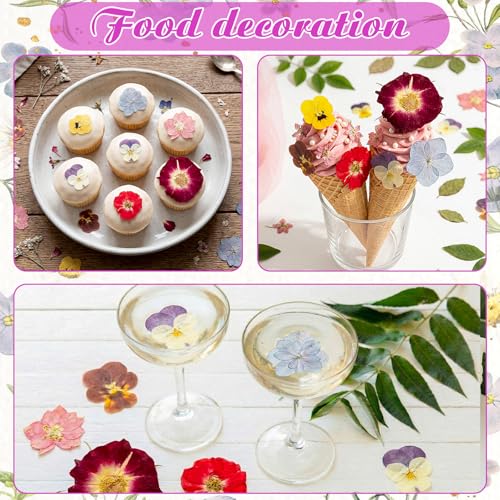 96 Pcs Pressed Edible Flowers, Colorful, Flower Style | Natural Dried Flowers for Cake Topper Cupcake, Cocktails Garnish, Resin Jewelry DIY, Soap, Candle Making Art Crafts - color: Colorful, style: Flower Style