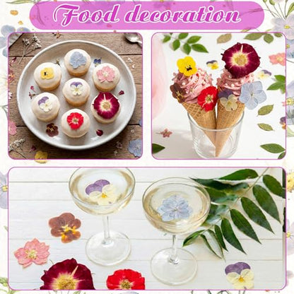 96 Pcs Pressed Edible Flowers, Colorful, Flower Style | Natural Dried Flowers for Cake Topper Cupcake, Cocktails Garnish, Resin Jewelry DIY, Soap, Candle Making Art Crafts - color: Colorful, style: Flower Style