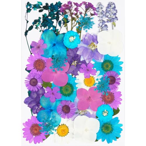40Pcs Dried Pressed Flowers for Crafts,Xinxinran Dry Flower Kit for Resin Molds,Epoxy Resin Accessories,Bookmark,Nails, Jewelry Molds,Candle Making Supplies,Soap,Cake(Blue-Purple) - color: Blue Purple 40pcs