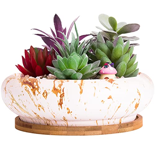 ARTKETTY Succulent Pots - 7.3 Inch Large Bonsai Pots with Drainage Tray - color: White&golden