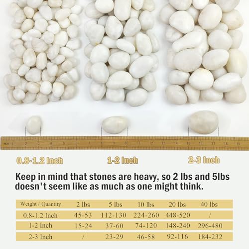 FANTIAN 10 lbs White Pebbles for Indoor Plants, 0.8-1.2 Inch Small White River Rocks Stones for Planters, Vases, Fish Tank, Garden, Landscaping, Top Dressing and Bottem Drainage - size: 0.8-1.2 Inch, style: 10 Pounds