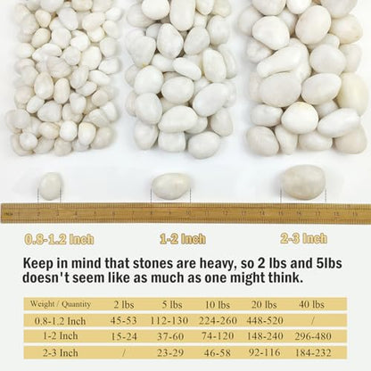 FANTIAN 10 lbs White Pebbles for Indoor Plants, 0.8-1.2 Inch Small White River Rocks Stones for Planters, Vases, Fish Tank, Garden, Landscaping, Top Dressing and Bottem Drainage - size: 0.8-1.2 Inch, style: 10 Pounds