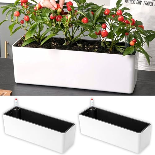 LaLaGreen Planter Box for Indoor Plants (16in, 2 Pack) Window Flower Pots | White Rectangular Self Watering Large Boxes Planters with Drainage Decorative Modern Balcony Windowsill Herbs Home Garden - color: White