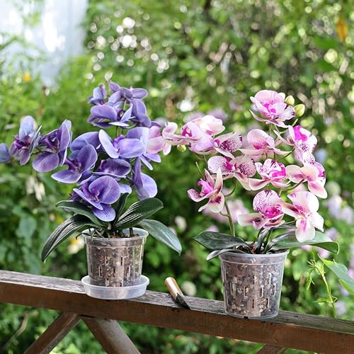 TRUEDAYS Orchid Pot, 4 Pack 4 Inch Plant Pot with Drainage - size: 4Inch-4Pack