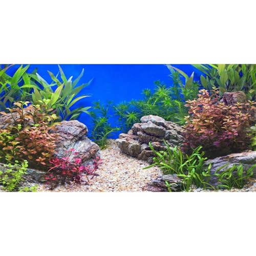 AWERT 48x18 in Aquatic Plant Fish Tank Background Stone Aquarium Backdrop | AWERT River Bed & Lake Vinyl Terrarium Background - size: 48x18in/120x45cm