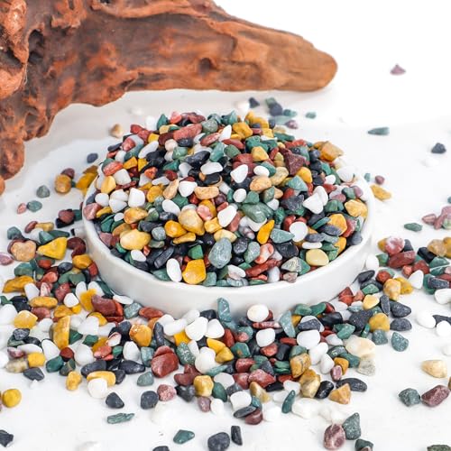 CJGQ 2.4lb Aquarium Gravel for Plants, 1/4Inch Fish Tank Gravel for Succulent Cactus and Bonsai, Decorative River Rocks Pebbles for Gardening, Flower Pots, Landscaping,Terrarium - color: Mixed Pebble, size: 2.4 lb (1/4 in)