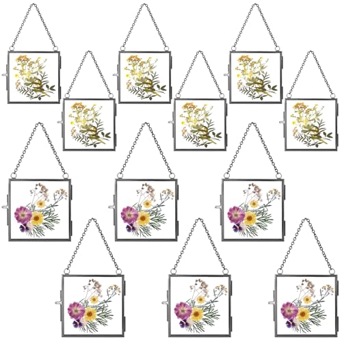 Kigley 12 Pcs Glass Pressed Flower Frame Chain Hanging 2.4" 3.2", Black - color: Black