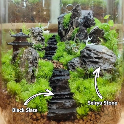Natural Rocks Slate Stone 1-2.5 Inches Decorative Stones for Miniature Landscaping,Fairy Gardens,Bonsai,DIY Crafts,Aquariums & Reptile Terrariums-1lb - size: 1lb(1-2.5Inch)