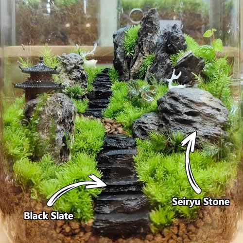 Natural Rocks Seiryu Stone 1-2.5 Inches Decorative Rocks for Fairy Gardens,Miniature Landscaping,Bonsai,DIY Crafts, Aquariums & Reptile Terrariums-2lb - size: 2lb(1-2.5Inch)