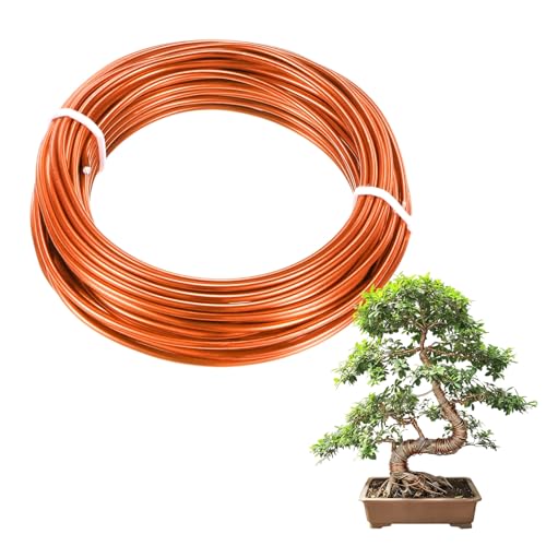 M METERXITY 1-Pack Bonsai Training Wire, 2mm x 33ft/10m Anodized Aluminum Bonsai Tree Wire for Gardening Branch/Fine Trunk/DIY Crafting [Orange] - color: Orange, size: 2mm