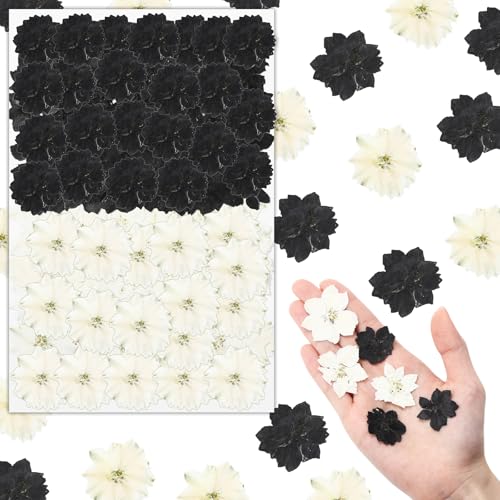 Woanger 100 Pcs Pressed Flowers Natural Bulk Resin Filler, Black and White - color: Black and White