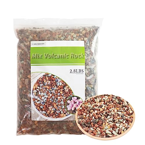 Color Lava Rocks Horticultural Potting Soil Mix Gritty Pebbles Pumice Volcanic Rock for Succulent Cactus Bonsai Top Dressing 2.8Lbs - color: Multi, size: 2.8LBS