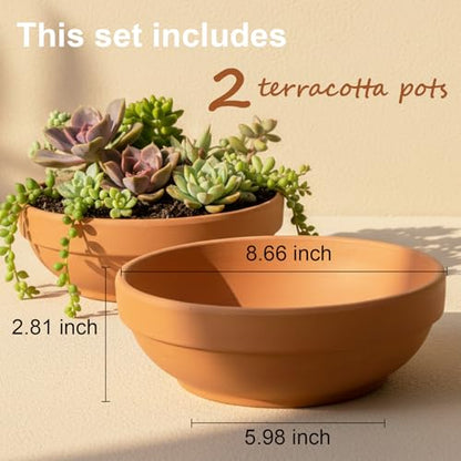 Laerjin Terracotta Pots with Drainage Holes, Large 2 Pack, 8.66 Inch | Ideal for gardeners growing cactus, succulents, herbs, and flowers on patios, balconies, gardens, or indoor plant stands - size: 8.66 inch