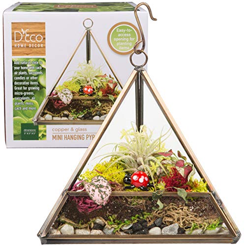 D'Eco Glass Copper Mini Triangle Tabletop or Hanging Planter Terrarium