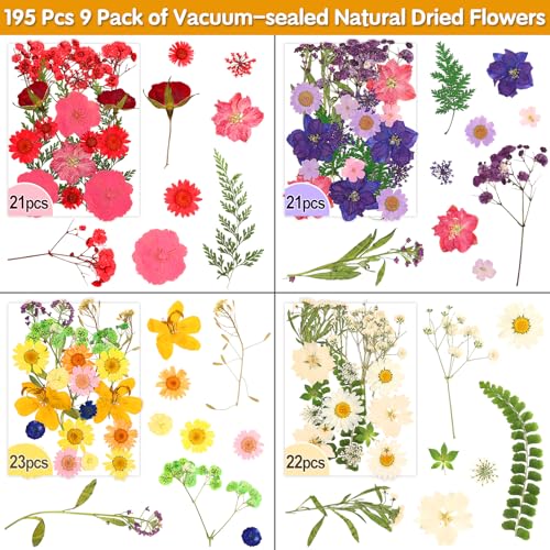 235 Pcs Pressed Dried Flowers for Resin, Natural Real Dried Pressed Flowers for Crafts, Bulk Dry Flowers for Resin Molds, Candles, DIY Art Jewelry Making with Tweezers Butterfly Stickers Set Decorate - size: 235 Pcs Dried Flowers with Butterfky