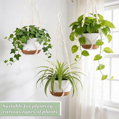 Mkono 3 Pack 10 Inch Hanging Planters for Indoor Plants with Self Watering