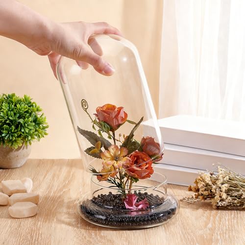 PH PandaHall Glass Dome Cloche 5.5x8.46inch Clear Terrarium Planter with Base Tabletop Display Terrarium for Indoor Plants Succulents Cactus Tabletop Home Decoration - size: 5.5x8.46inch
